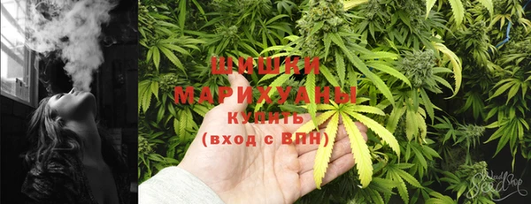 ГАЛЛЮЦИНОГЕННЫЕ ГРИБЫ Нефтегорск