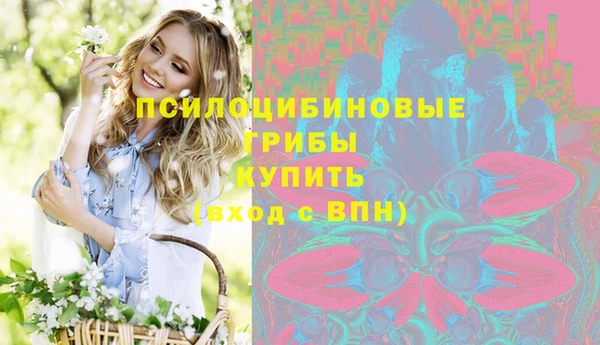ГАЛЛЮЦИНОГЕННЫЕ ГРИБЫ Нефтегорск