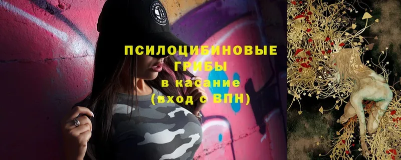 Галлюциногенные грибы мухоморы  Алагир 