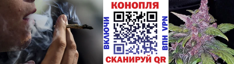 Шишки марихуана план  наркошоп  Алагир 